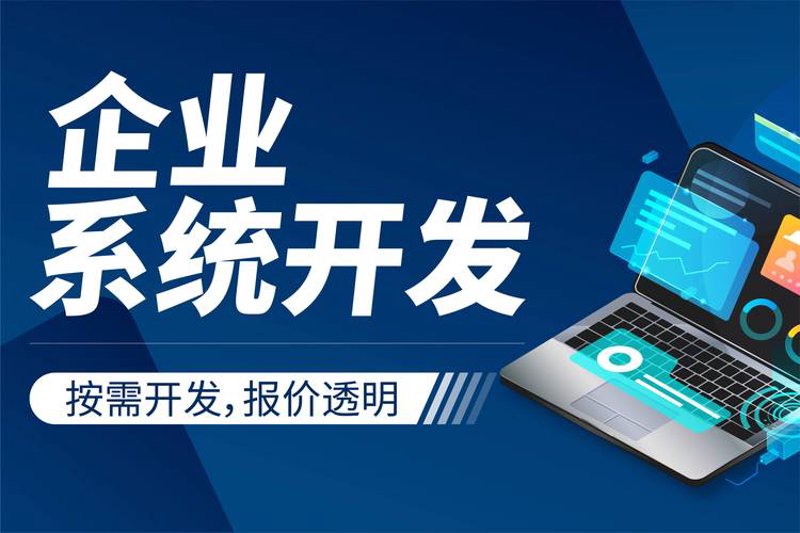 软件定制外包
